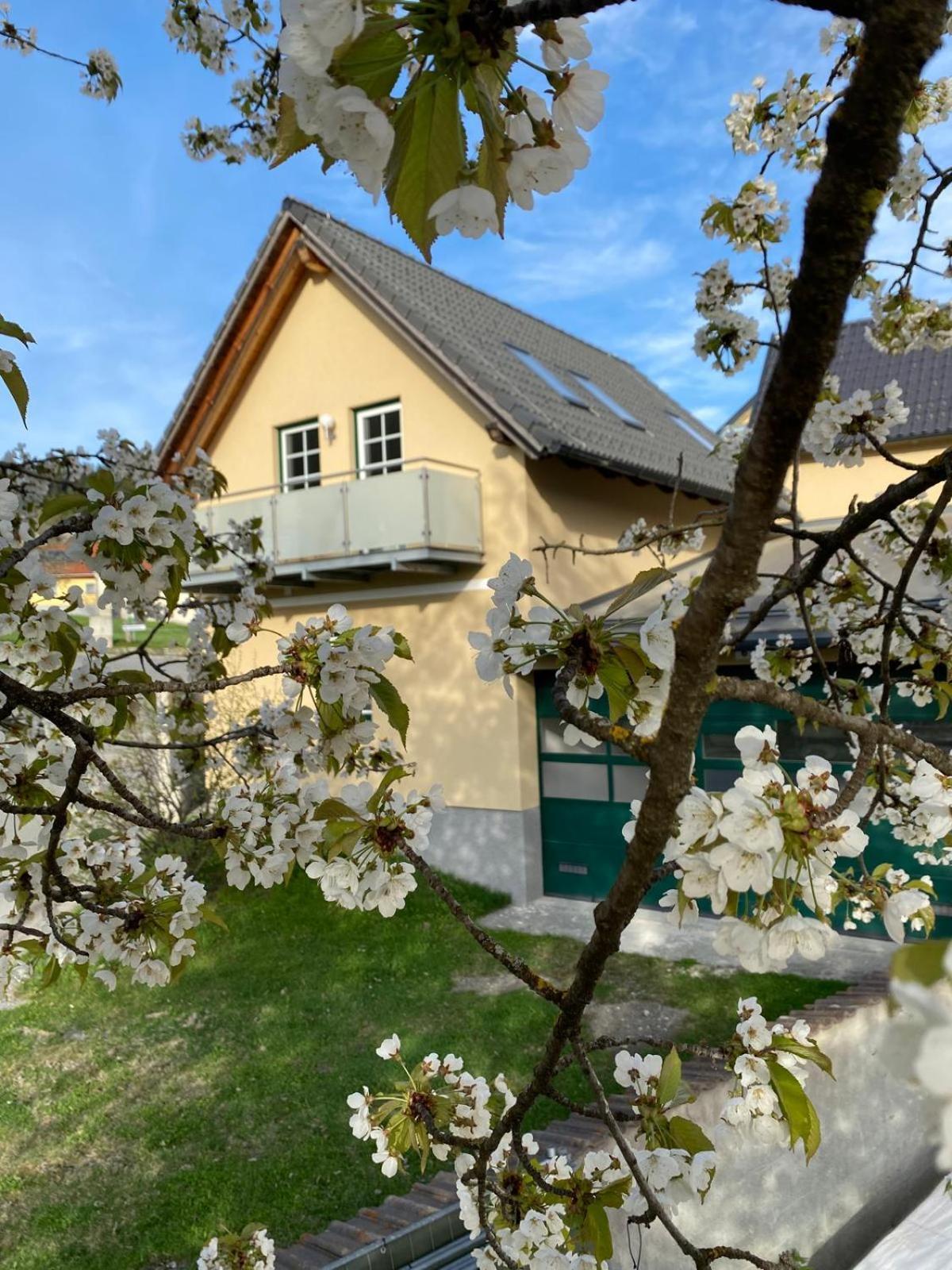 Ferienwohnung in Mariahof Neumarkt in Steiermark Exterior foto